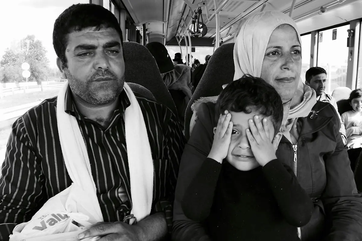 21023016554-ee2b3571f1-o