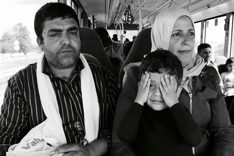 21023016554-ee2b3571f1-o