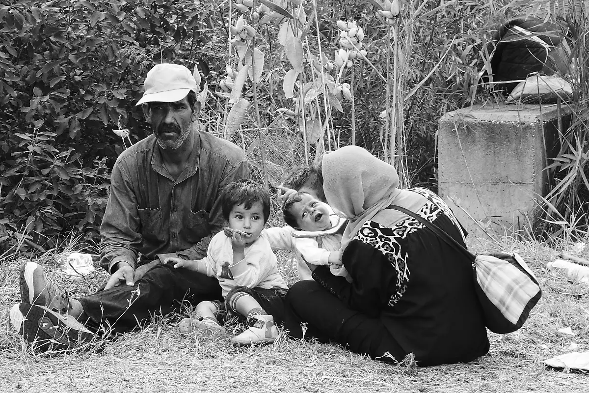 20618850343-db17b27d1f-o