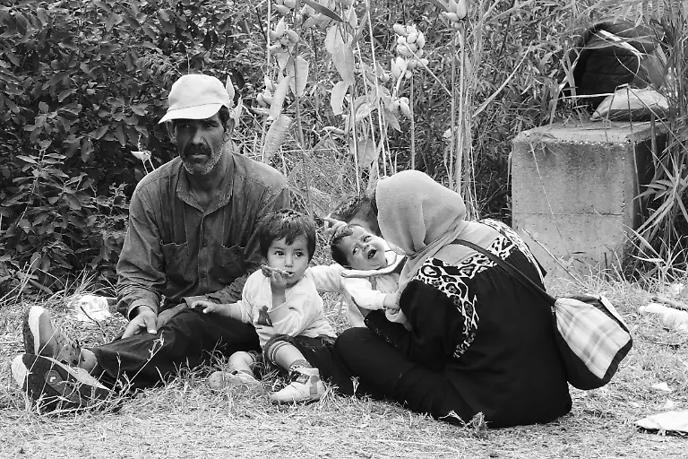 20618850343-db17b27d1f-o