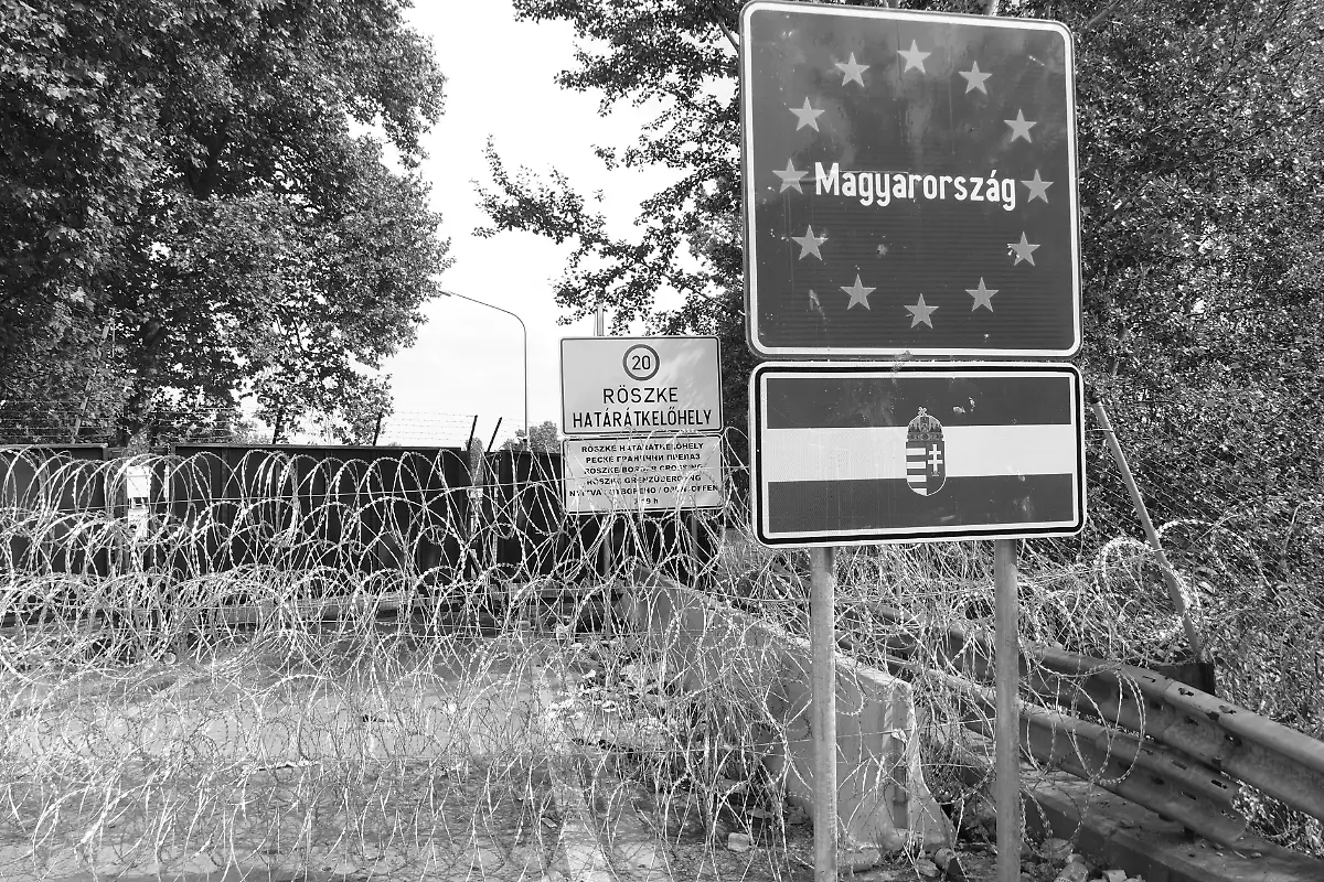 21619645086-d9caa5d93e-o