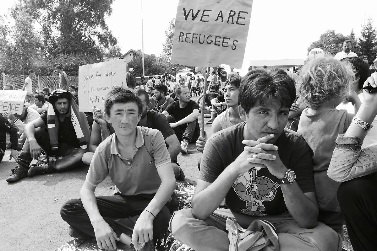 21458884619-4085ed4316-o