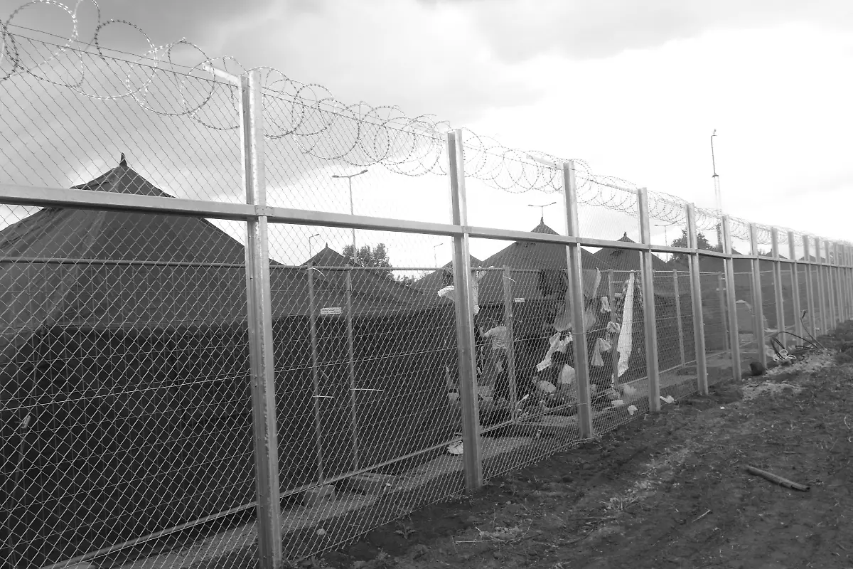 21247959061-96c6f169fe-o