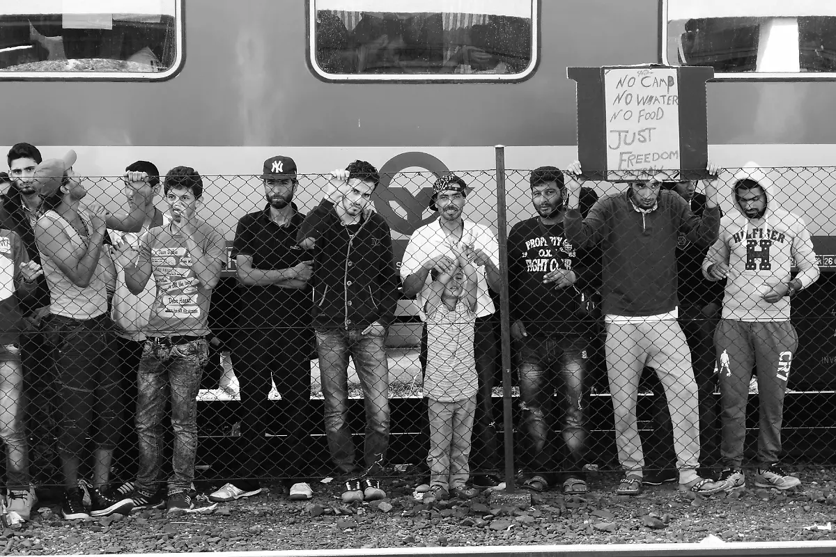 21229517182-3d18d2b6d0-o