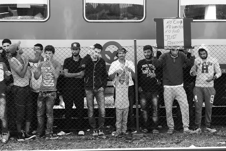 21229517182-3d18d2b6d0-o