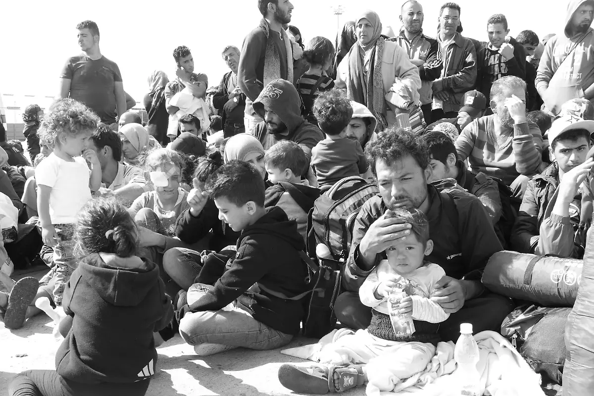 21634358362-cf790727c8-o