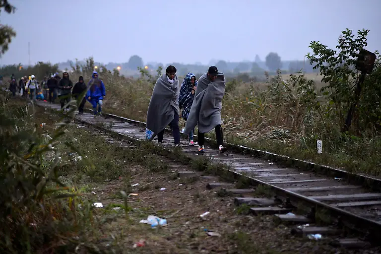 0af61cfc2b521aede45912106446c2b6