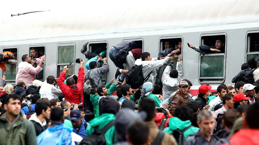 f47ec08495da6d8dff18caab14146cb5