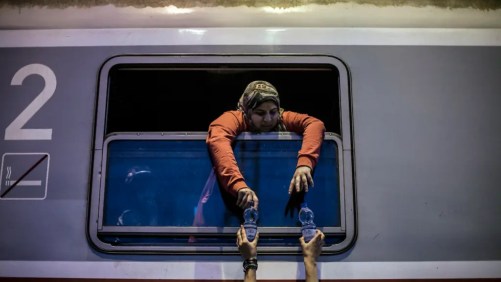 50bd381d-73d1-49ad-b531-e3e67f8daa8d