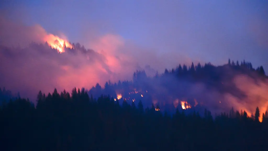 11196264-4117-4d18-835d-f2c78837247c