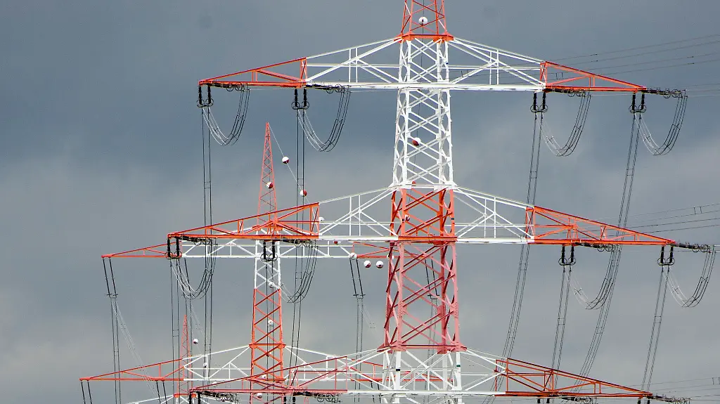 cedb7f9b-07db-4bea-b49e-1ac34c4ab005