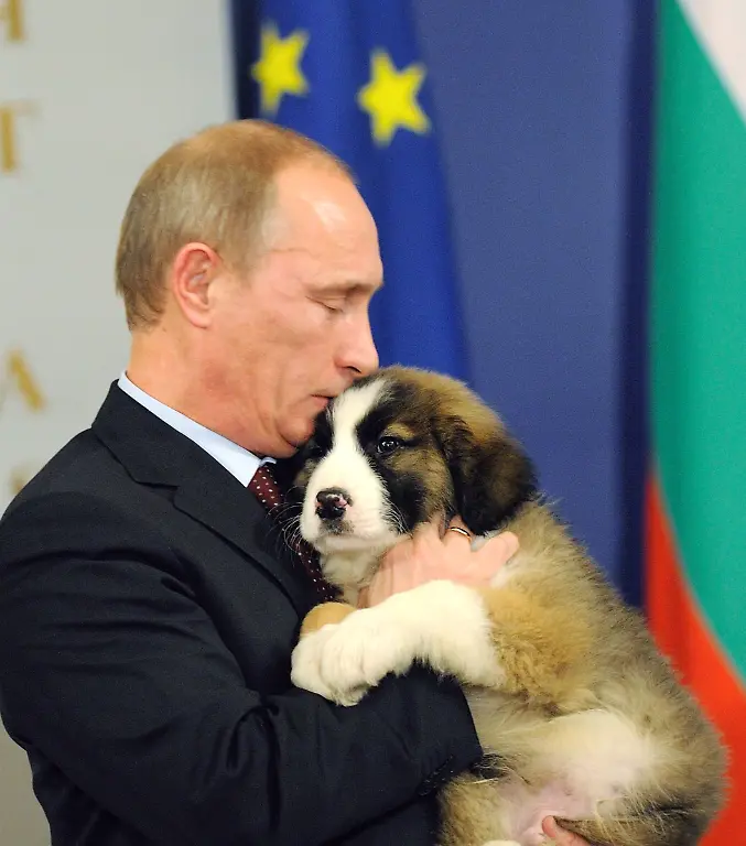 putin-hund