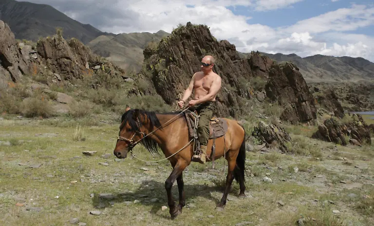 putin-pferd