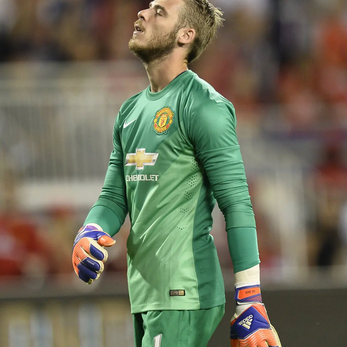 Gea