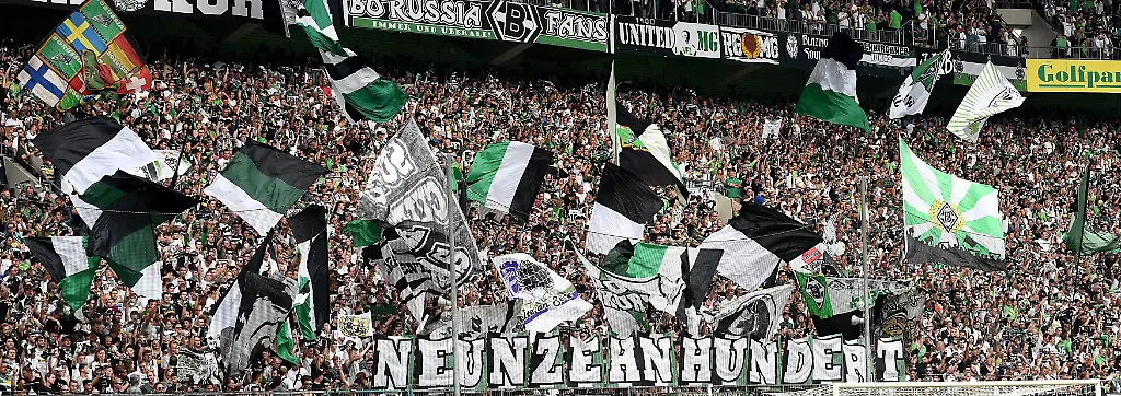 Bild zum Thema Borussia Mönchengladbach