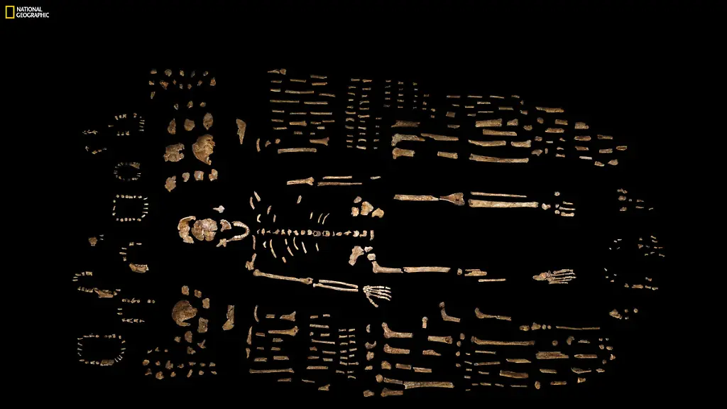 328E540057CE283F-jpg4024062066752350495