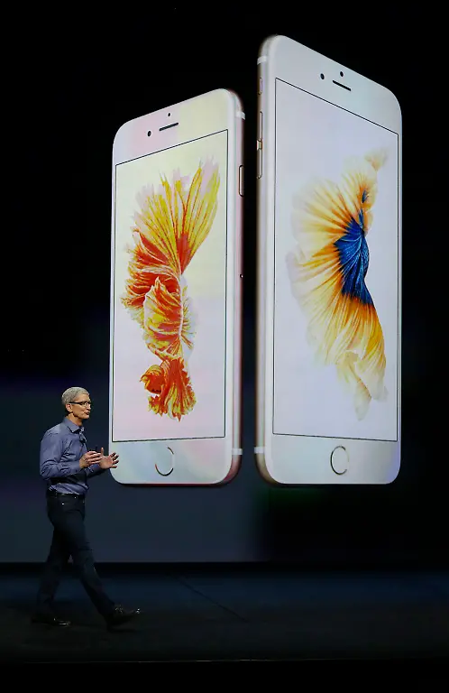 3rn95104-jpg8730776968584374161