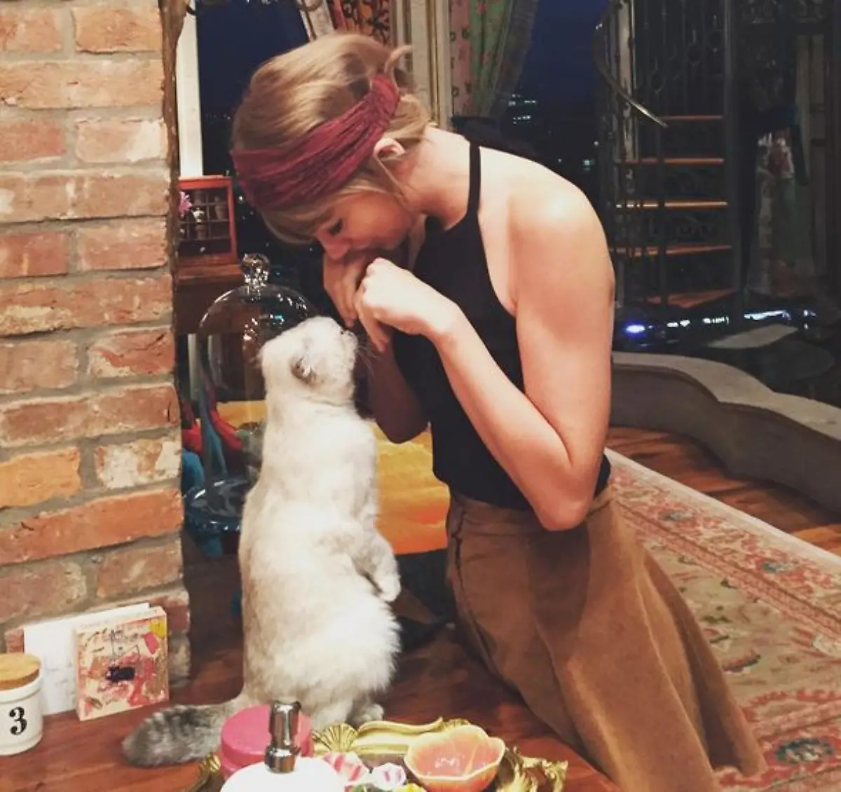Taylor-Swift-Katze