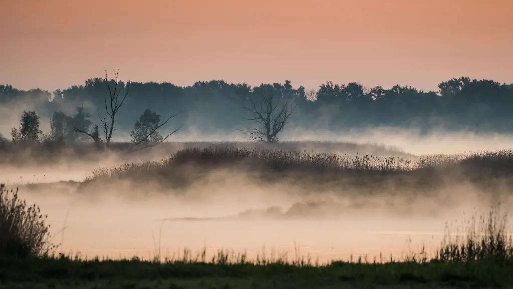 3rlh3040-jpg1757299029054234234