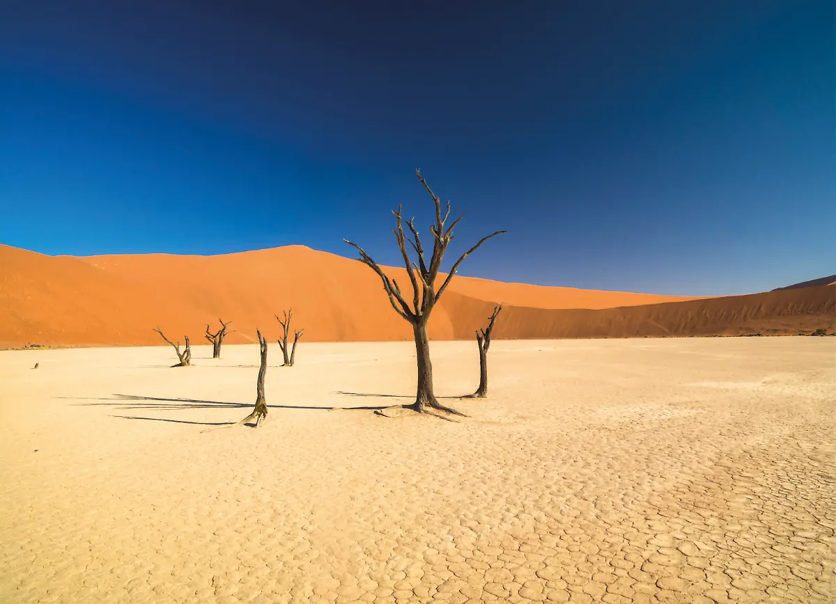 AFRIKA-UNTERWEGS-4-PRESSEMATERIAL-highres-Seite-08-links