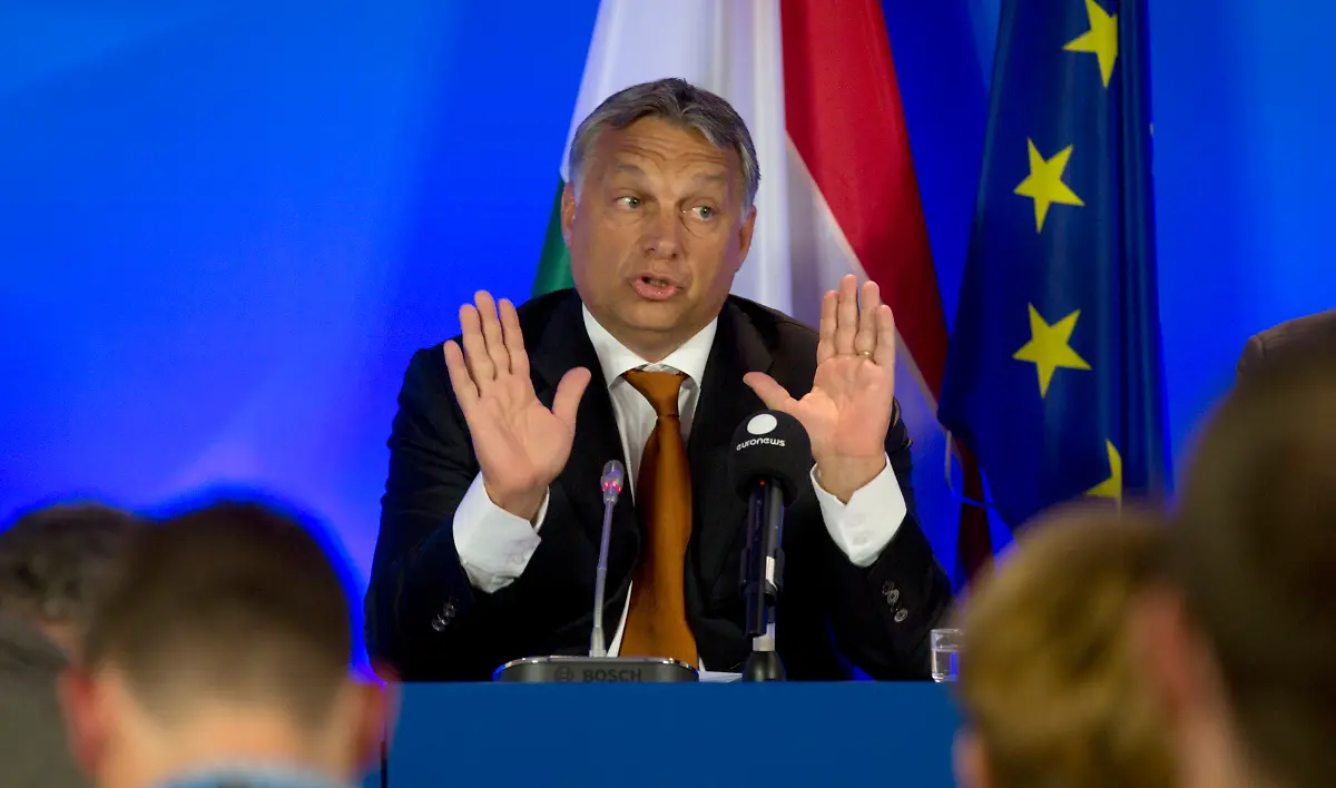 328E46005C92212F-jpg1769096411085803515