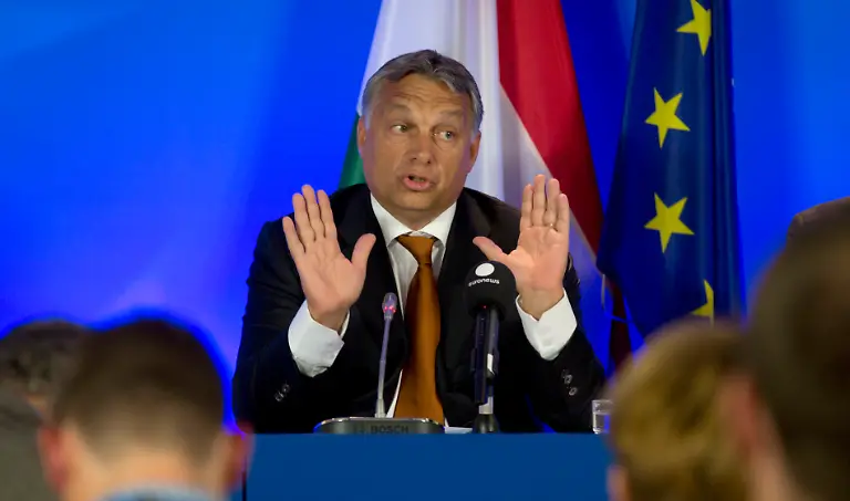 328E46005C92212F-jpg1769096411085803515