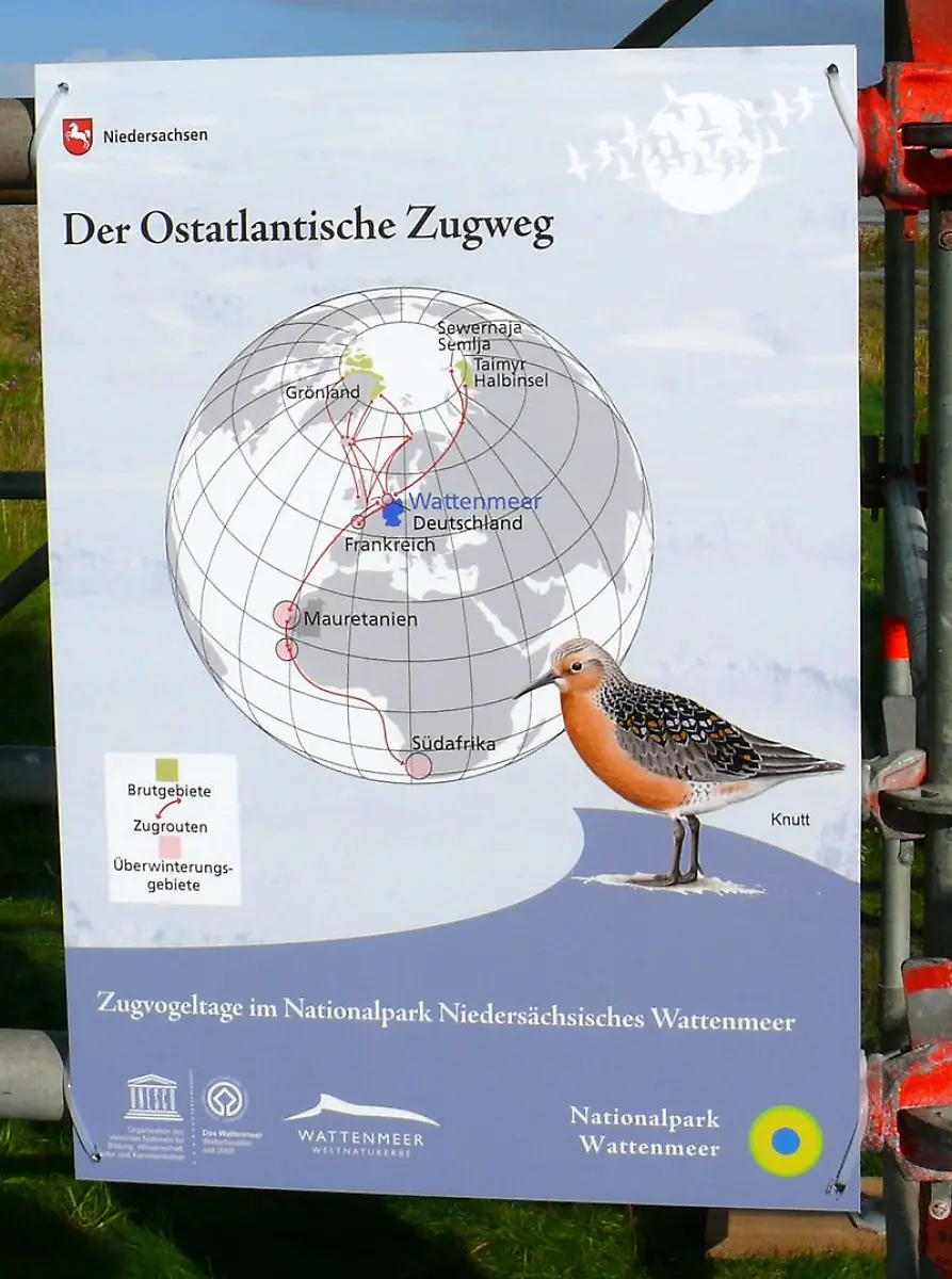 Varelvogelturm071012-026