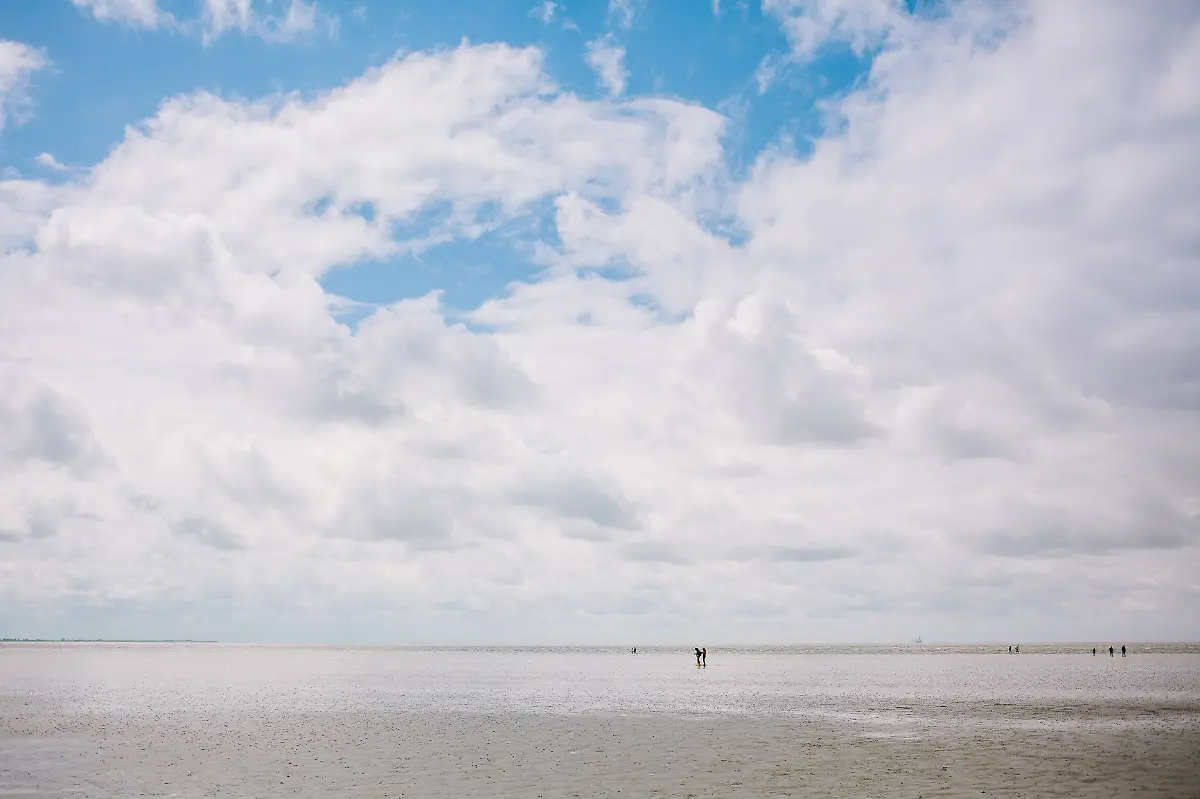 wattenmeer