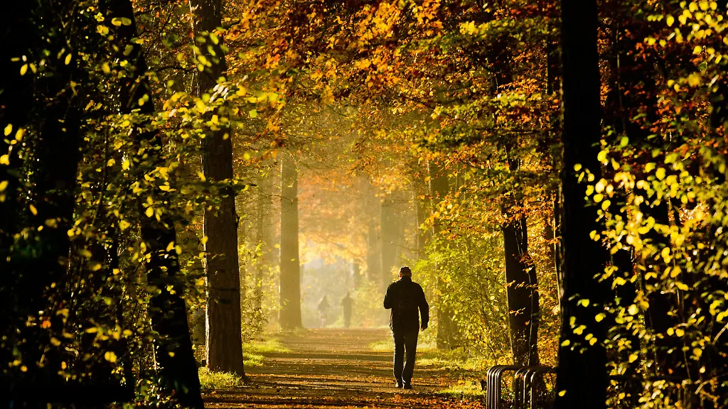 3ri50414-jpg9187565760757559765