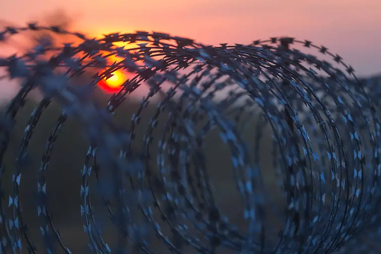 imago-st-0831-07200003-65583104-jpg7831073881215060384