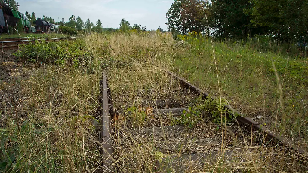 3rf42041-jpg5543158187057475673