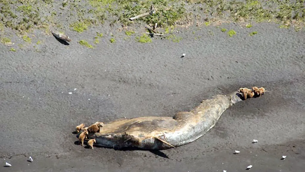 3re92328-jpg1009712548626836575