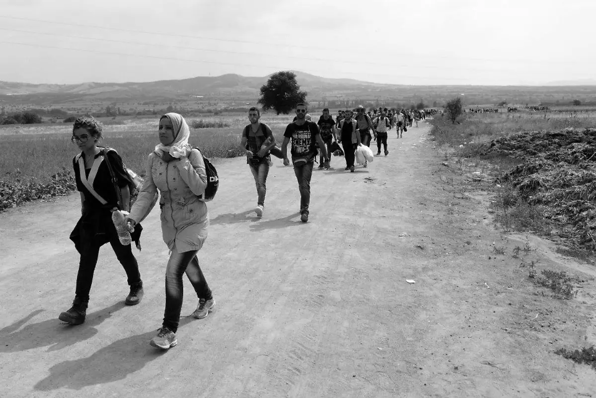 11924962-10206014865549283-6154424087772802355-n