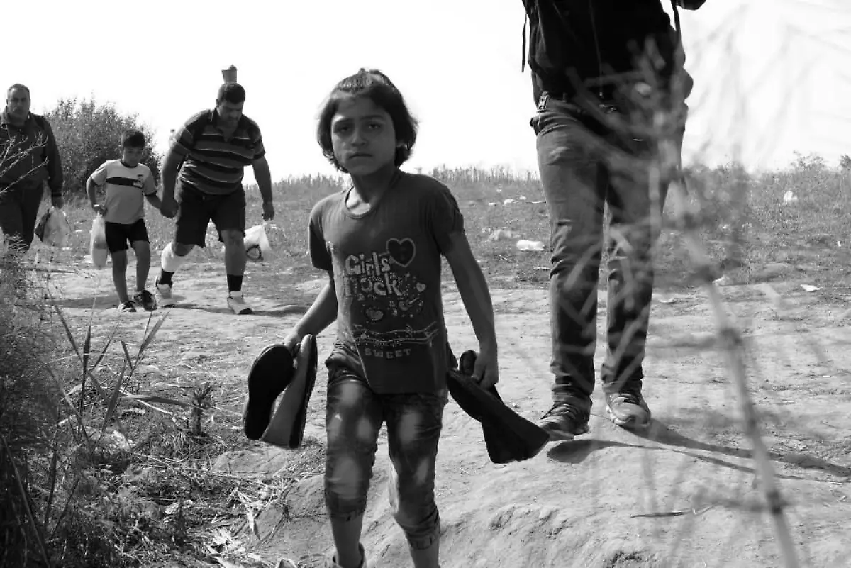 11887960-10206014863869241-9142040586606638833-n