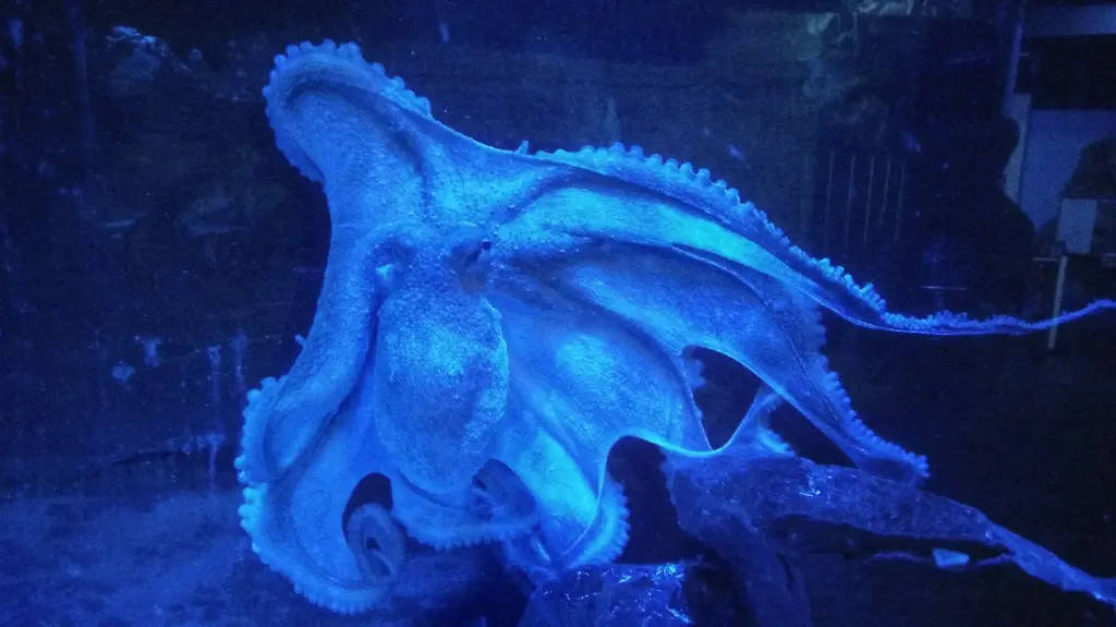 3rdq0922-jpg3990293811943148783