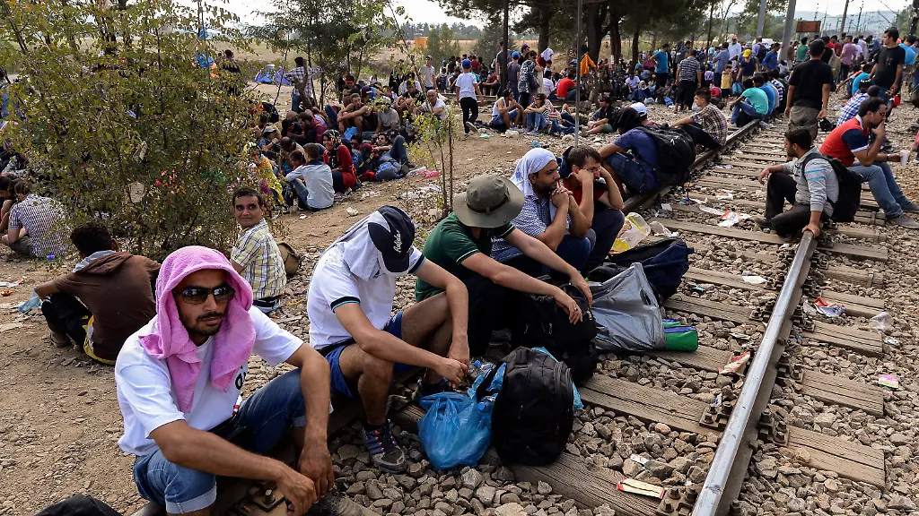 3r9p4013-jpg2490543051721144026