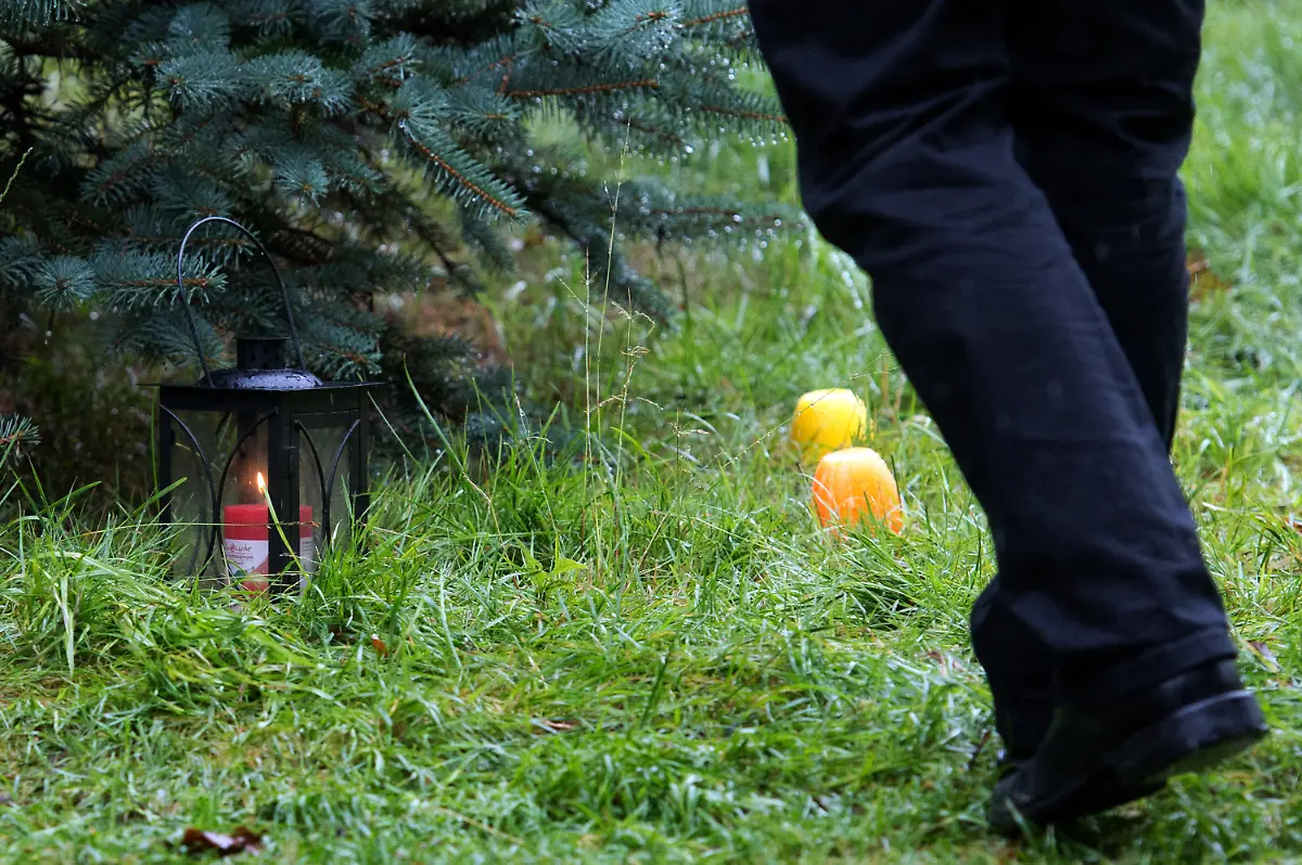 3r882807-jpg2042104959583985013