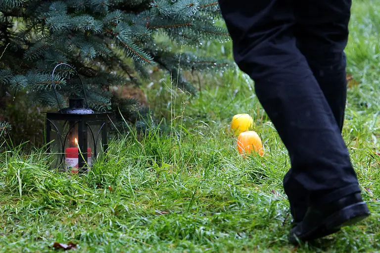 3r882807-jpg2042104959583985013