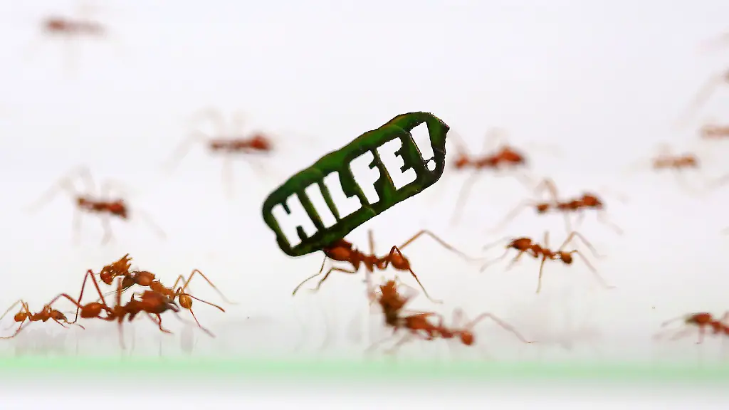 3r8e2646-jpg6142917363290449645