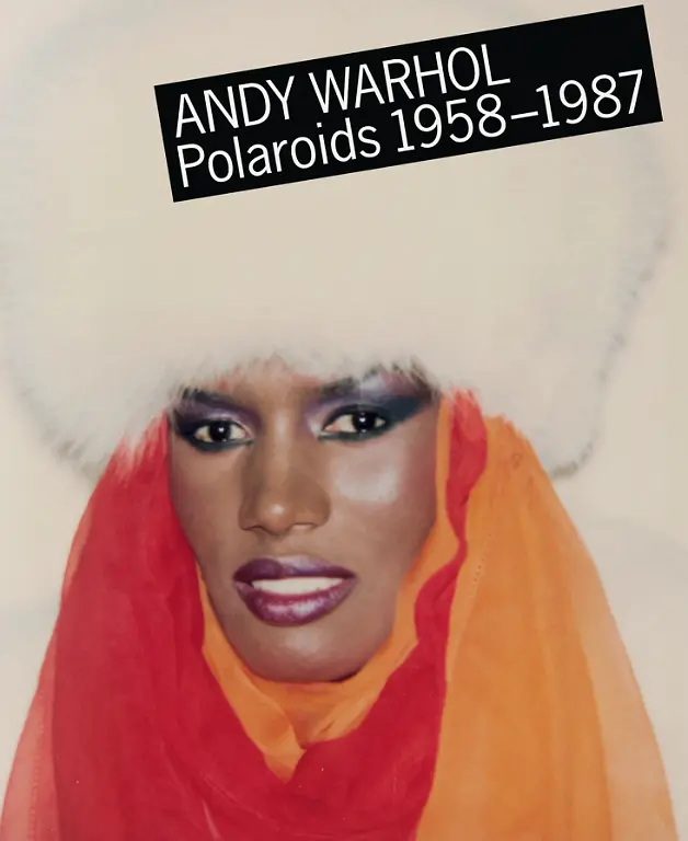 warhol-polaroids-fo-int-3d-05790-1505201505-id-963912