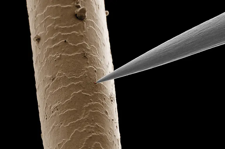 haar-mit-nanoteilchen