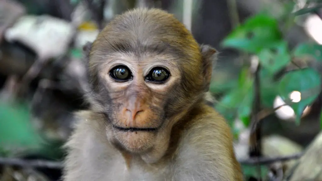 A-ZpGY70IkziPVPVfe6E1jmOpn-YdjzI4j25i0Vdq7g-fm4VKihGDPOTE84fIwNlIQnBGVGSuoM9HhxZ9lqU364