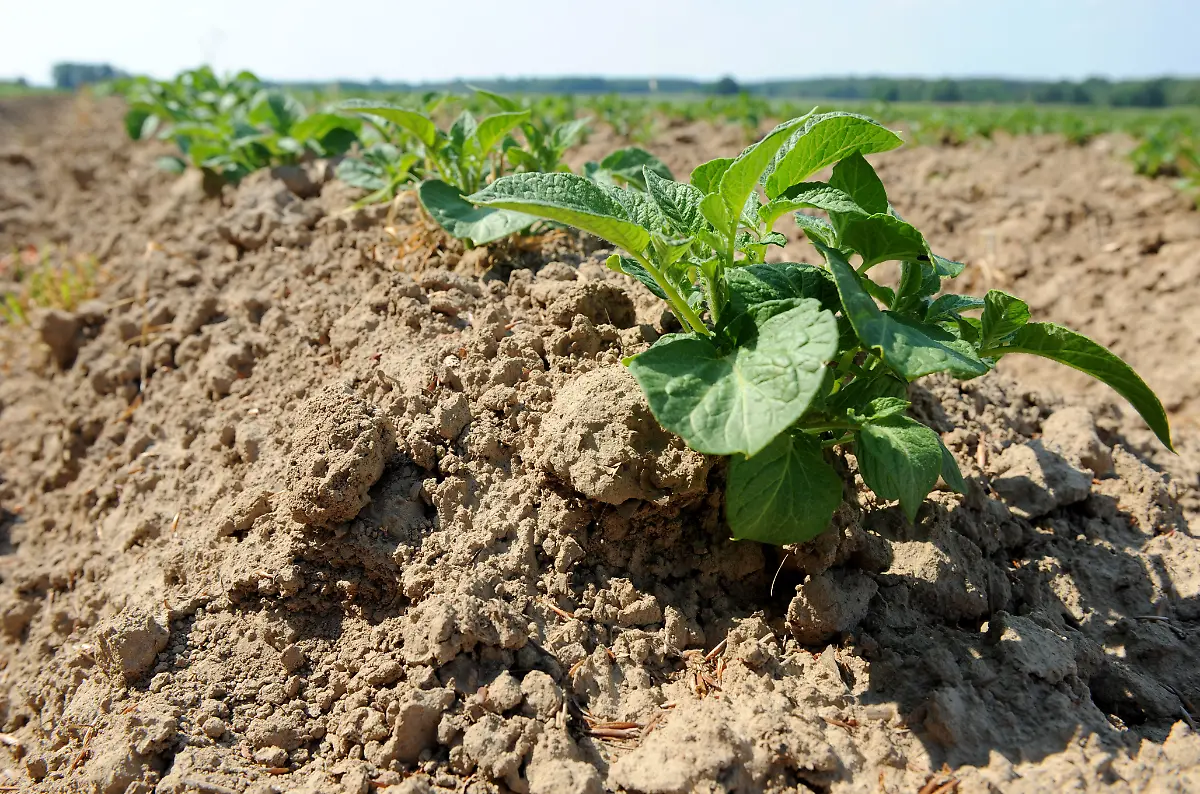 Colnrade-Niedersachsen