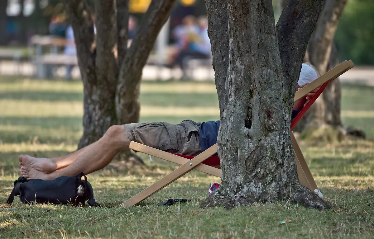gruenflaechen-veroeden-ffm