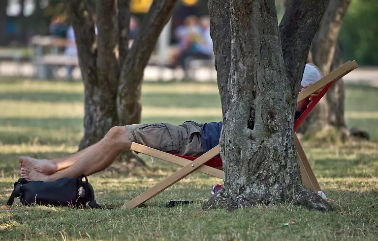 gruenflaechen-veroeden-ffm