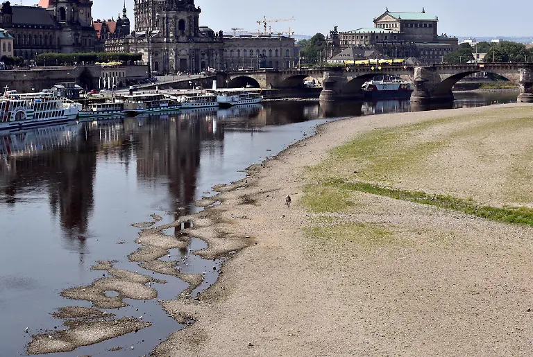 elbe-dresden
