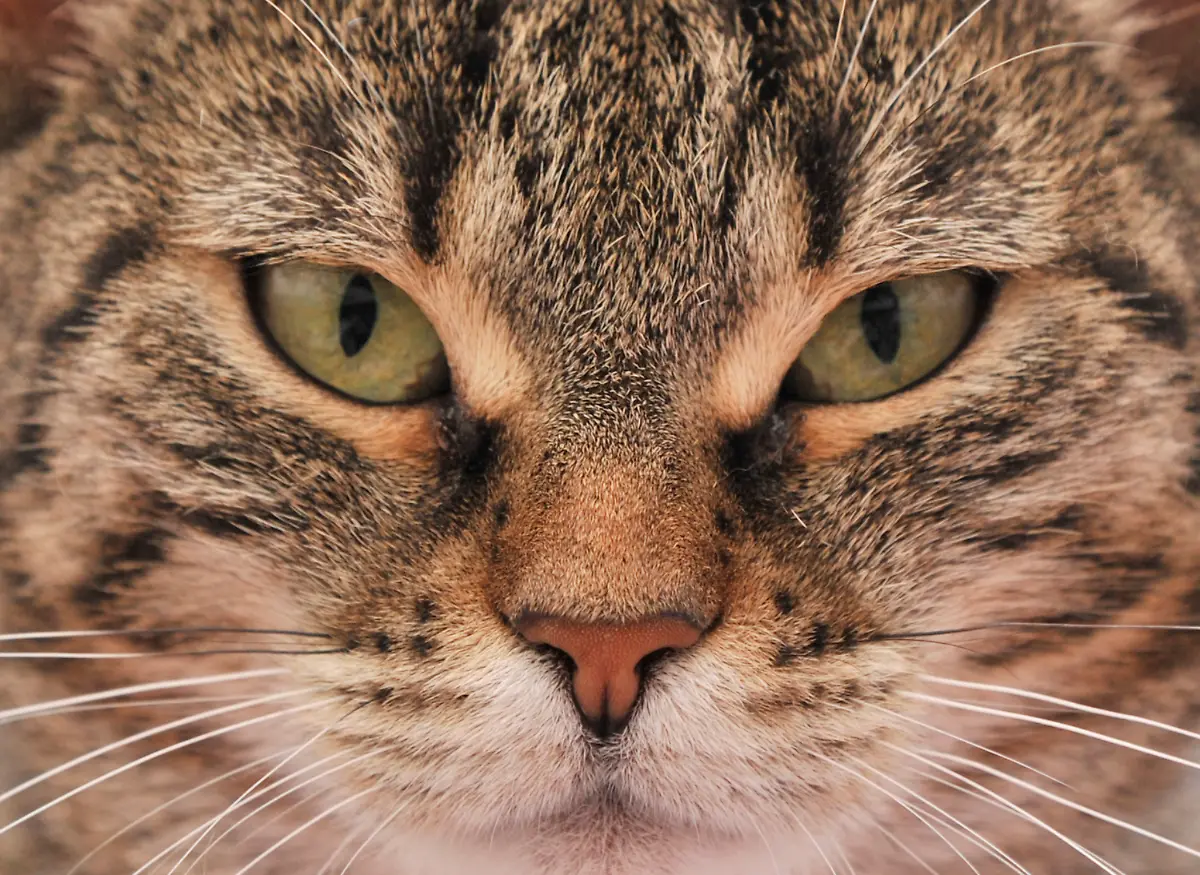 3r0v0020-jpg921989150502043476