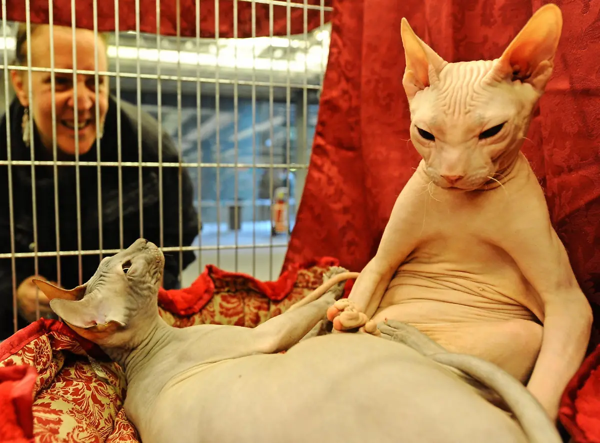 3qy50502-jpg6785869129935125019