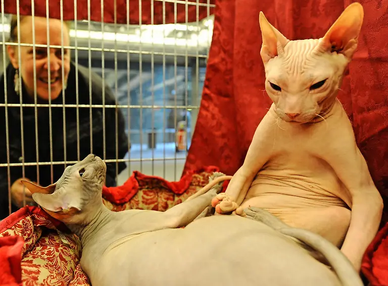 3qy50502-jpg6785869129935125019