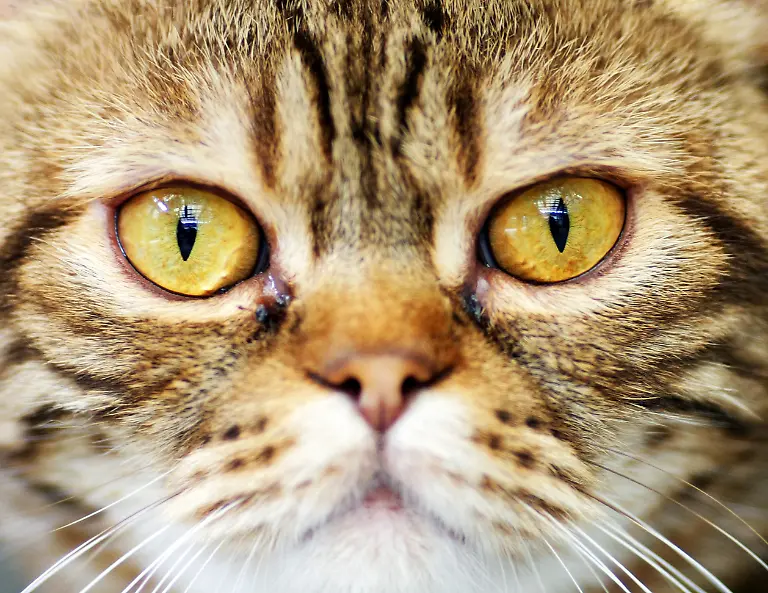 3qy50505-jpg3462637069758785769